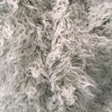 unnamed (6)